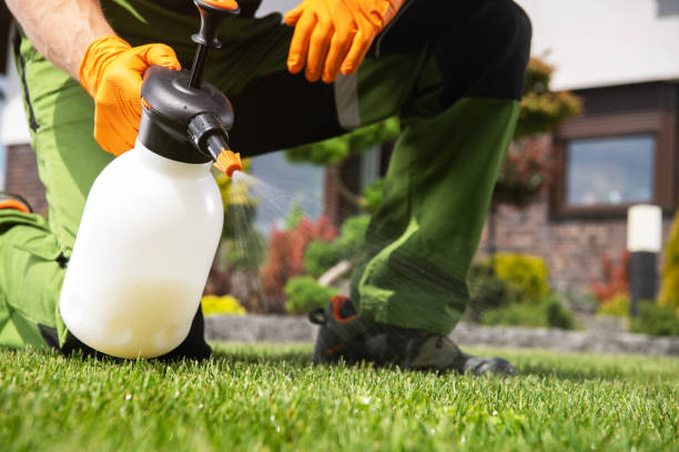  Sea Breeze, NC Pest Control Pros