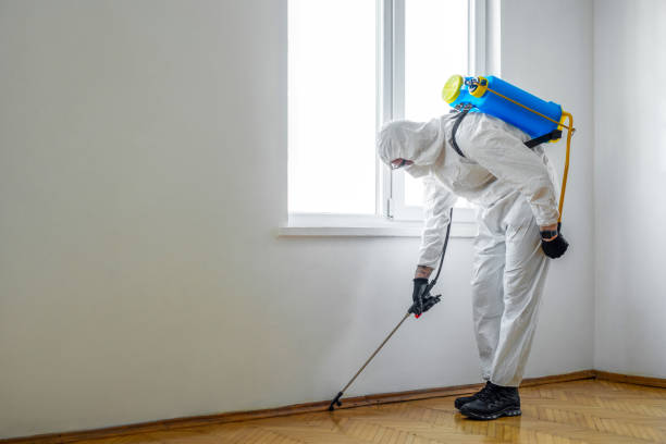 Trusted Sea Breeze, NC Pest Control Experts