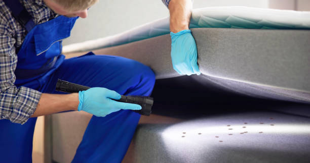 Best Local Pest Control Services  in Sea Breeze, NC