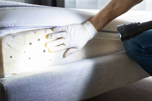 Best Commercial Pest Control Services  in Sea Breeze, NC
