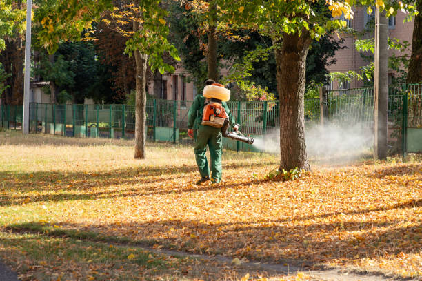 Best Pest Control Near Me in Sea Breeze, NC