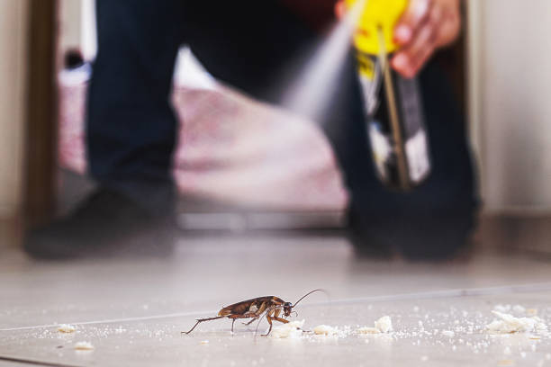 Trusted Sea Breeze, NC Pest Control Experts
