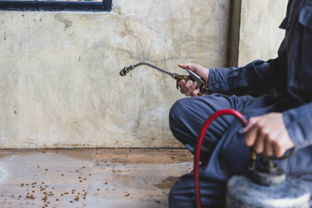 Best Termite Control Services  in Sea Breeze, NC