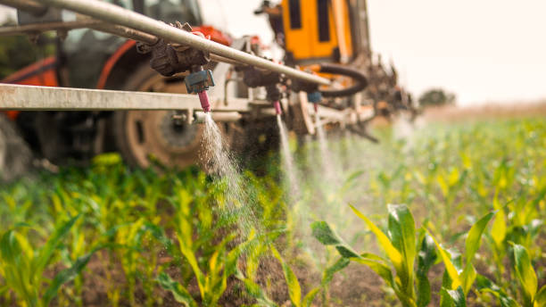 Pest Control Cost in Sea Breeze, NC